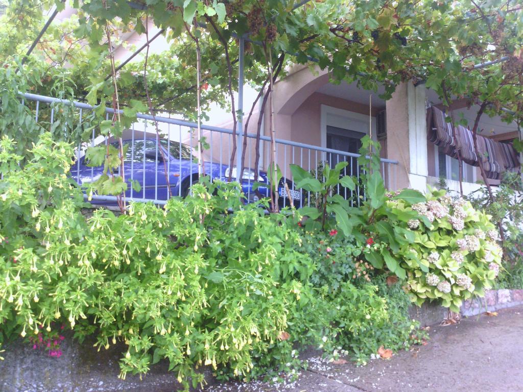 Apartments Mitrovic Podlicak Sveti Stefan Exterior foto